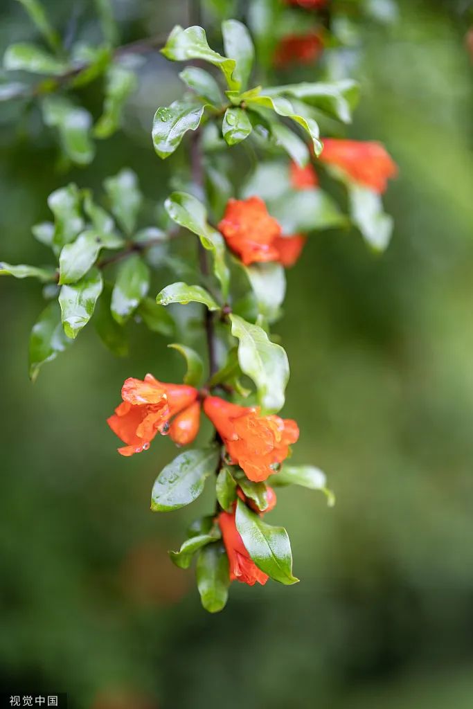 腾博诚信官网·(中国)会专业效劳